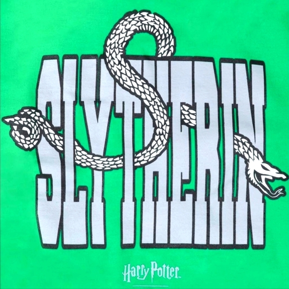 Slytherin House Crewneck Harry Potter x The Hundreds - Picture 2 of 7
